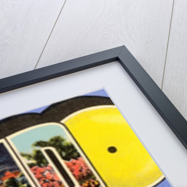 Greetings from Orlando, Florida, the City Beautiful by Anonymous