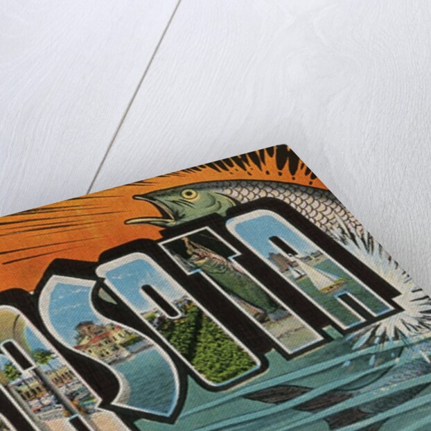 Greetings from Sarasota, Florida by Anonymous