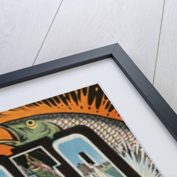 Greetings from Sarasota, Florida by Anonymous