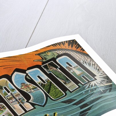 Greetings from Sarasota, Florida by Anonymous