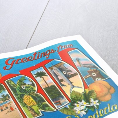Greetings from Florida, Tropical Wonderland by Anonymous