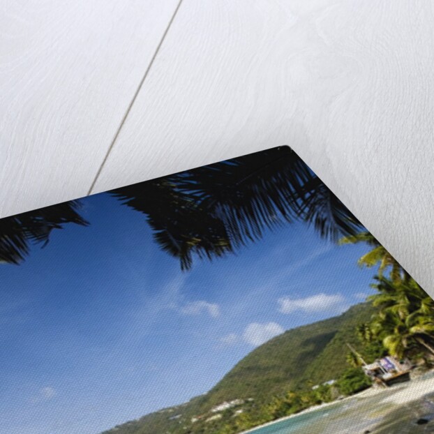 Tropical beach, Cane Garden Bay, Tortola island, British Virgin Islands by Anonymous