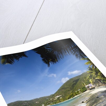Tropical beach, Cane Garden Bay, Tortola island, British Virgin Islands by Anonymous