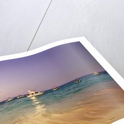 Beach and fishing boats on sea, Bavaro, Dominican Republic by Anonymous