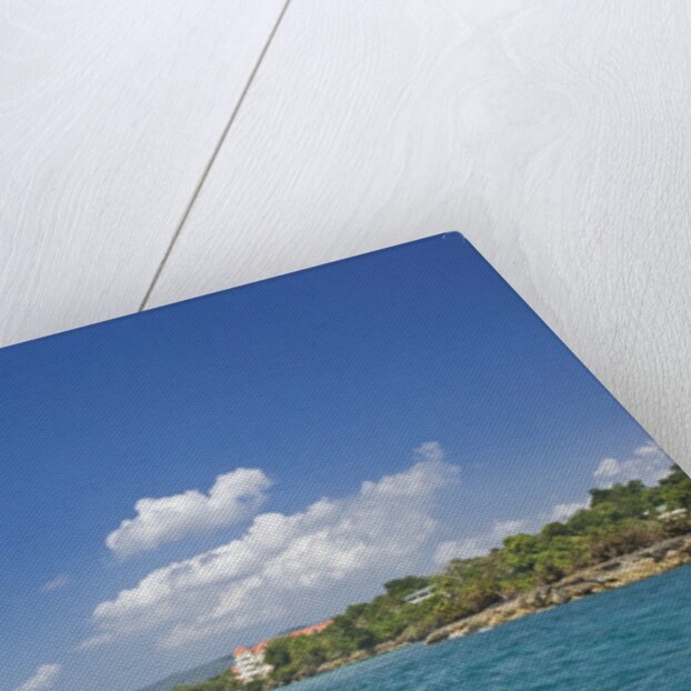 Coastline, Samana Peninsula, Dominican Republic by Anonymous