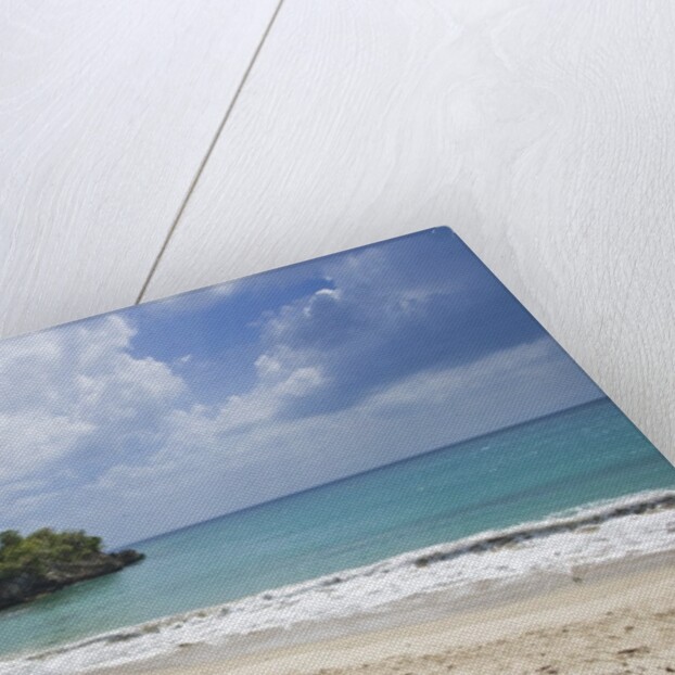 Tropical beach, Samana Peninsula, Dominican Republic by Anonymous