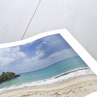 Tropical beach, Samana Peninsula, Dominican Republic by Anonymous