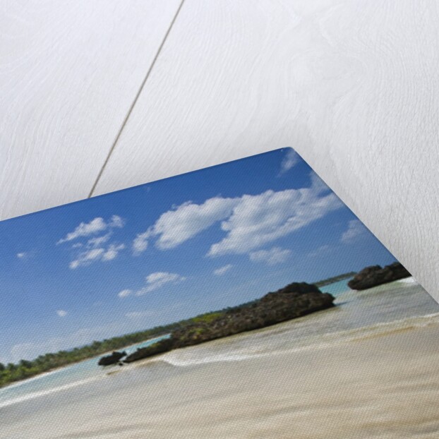 Tropical beach, Las Terrenas, Dominican Republic by Anonymous
