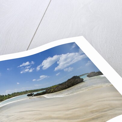 Tropical beach, Las Terrenas, Dominican Republic by Anonymous