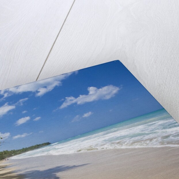 Tropical beach, Las Terrenas, Dominican Republic by Anonymous