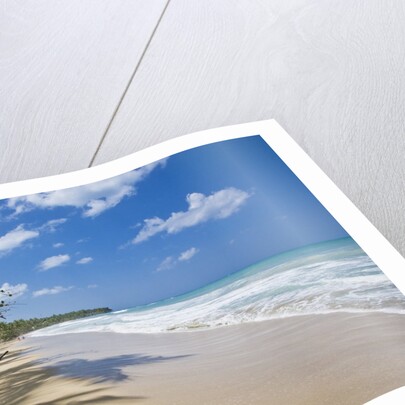 Tropical beach, Las Terrenas, Dominican Republic by Anonymous