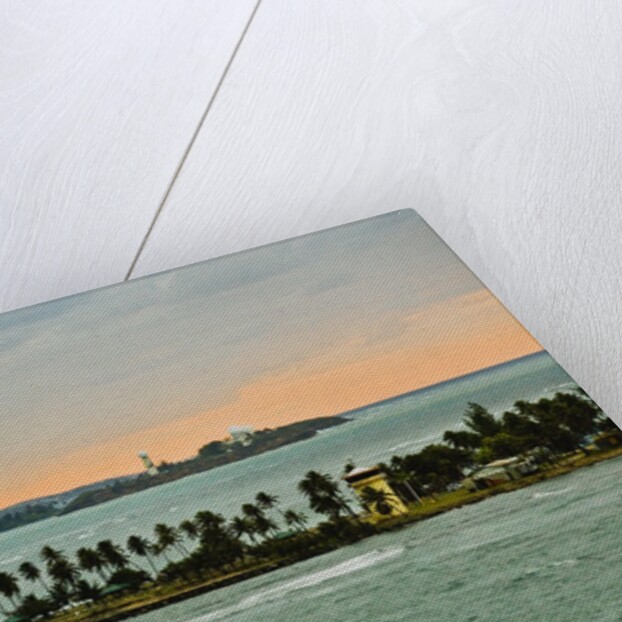 Sra and Old San Juan in distance, Puerto Rico by Anonymous