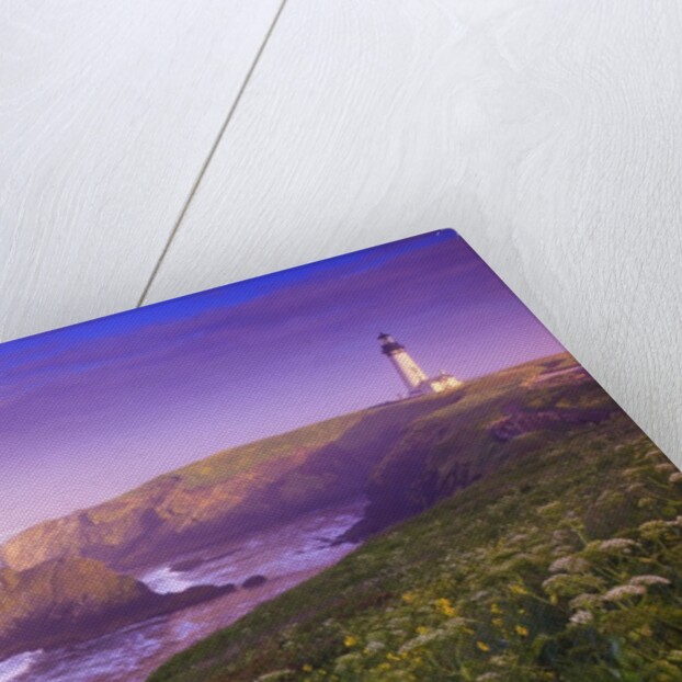 sunrise thru fog, Yaquina Head Lighthouse, Oregon Coast. Pacific Northwest, United States by Anonymous