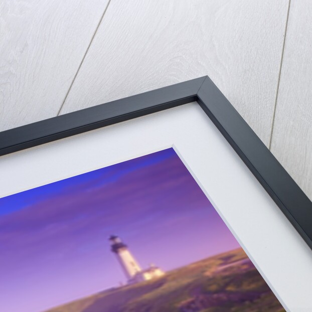 sunrise thru fog, Yaquina Head Lighthouse, Oregon Coast. Pacific Northwest, United States by Anonymous