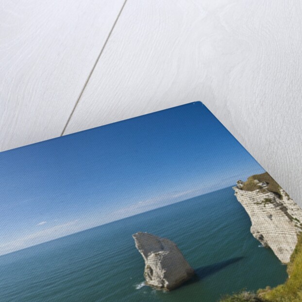 View of the Aiguille cliff , High Normandy , France by Anonymous