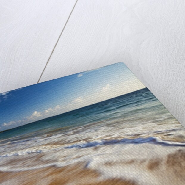 Evening Light on Big Beach On The Island of Maui by Anonymous