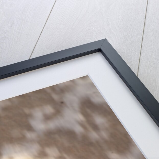 Starfish with evening surf rolling in by Anonymous
