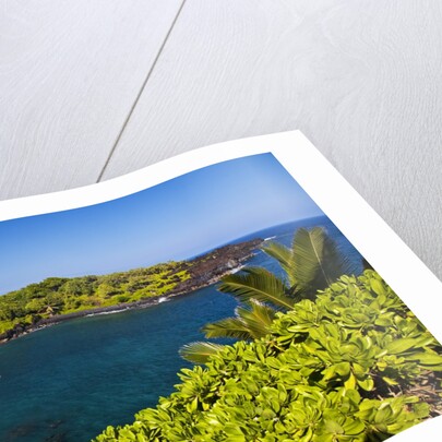 Sunny Day at the Black Sand Beach Near Hana on the Island of Maui by Anonymous