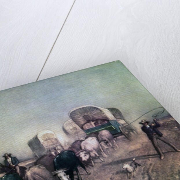 Train of Conestoga Wagons in 1850s America. by Anonymous