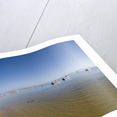 Coast near Scala dei Turchi, Sicily, Italy by Anonymous