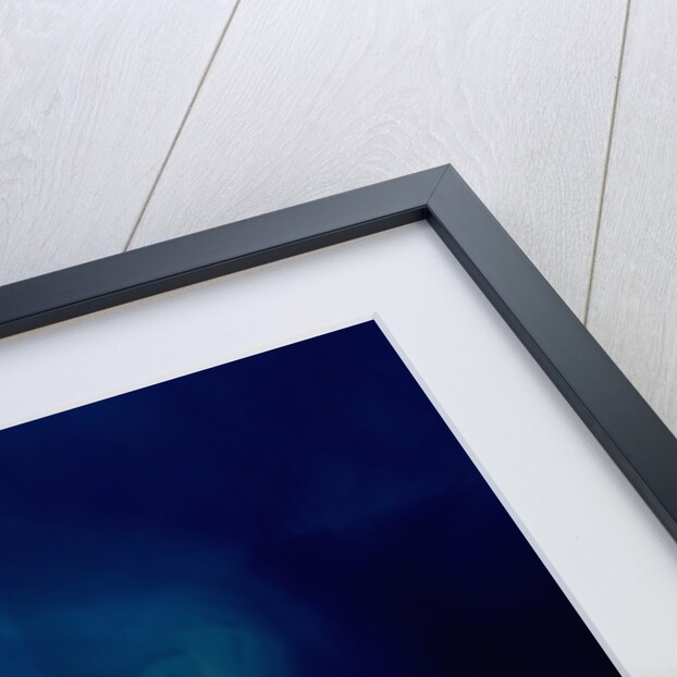 Horton River Delta, Arctic Canada by Anonymous