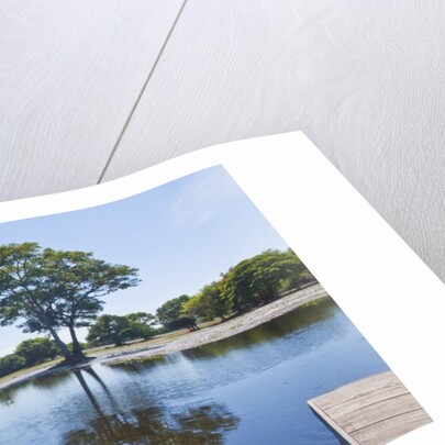 Lagoon in front of Pousada Rio Mutum, Mato Grosso, Brazil by Anonymous