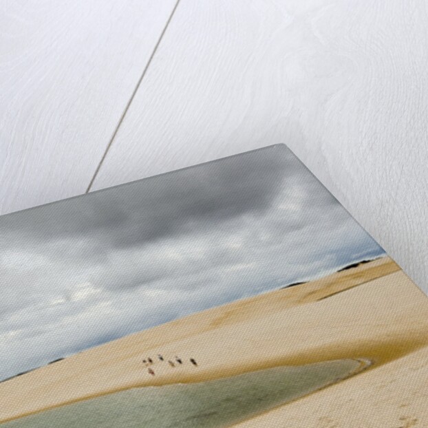 White Sand dunes and fresh water lakes at Lencois Maranheinses National Park, Brazil by Anonymous