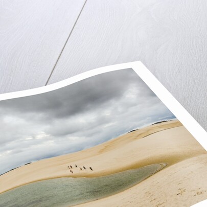 White Sand dunes and fresh water lakes at Lencois Maranheinses National Park, Brazil by Anonymous