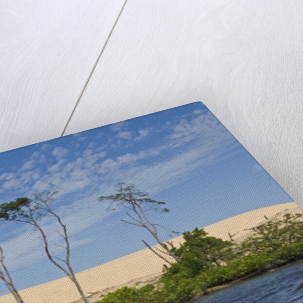 Preguicas River at Lencois Maranheinses National Park, Brazil by Anonymous