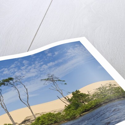 Preguicas River at Lencois Maranheinses National Park, Brazil by Anonymous