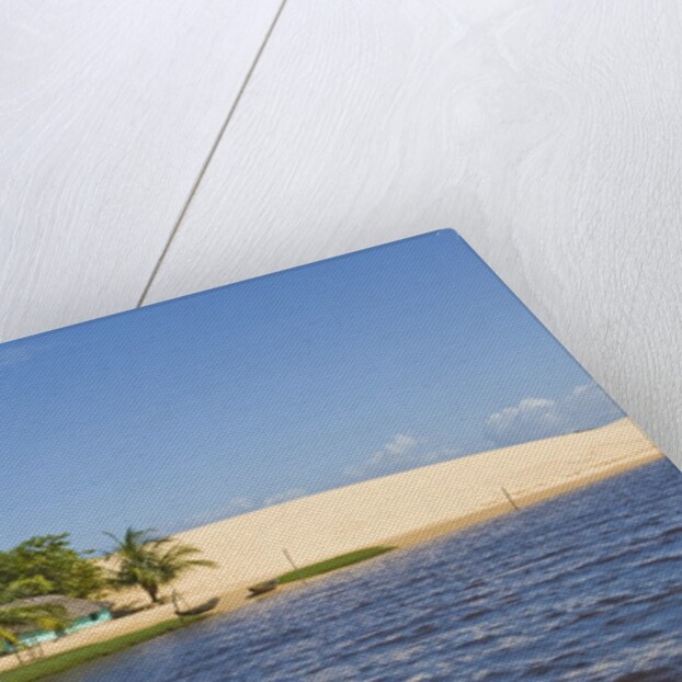 Preguicas River at Lencois Maranheinses National Park, Brazil by Anonymous