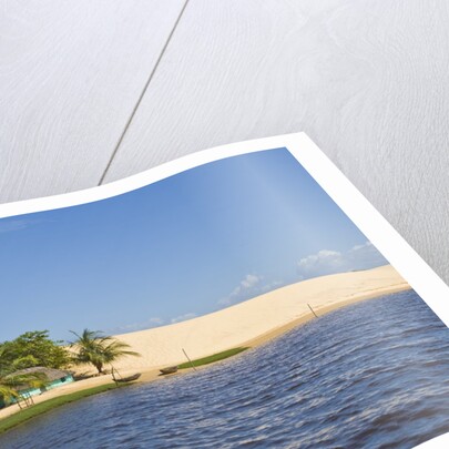 Preguicas River at Lencois Maranheinses National Park, Brazil by Anonymous