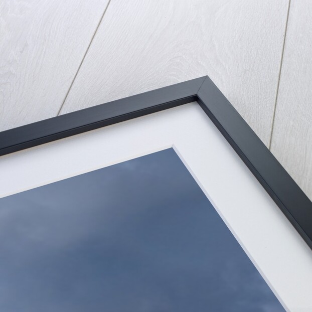 View of Capri, Campania, Italy by Anonymous