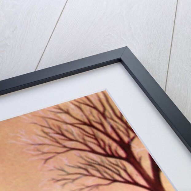 Vintage Illustration of Santa Claus and His Sleigh by Anonymous