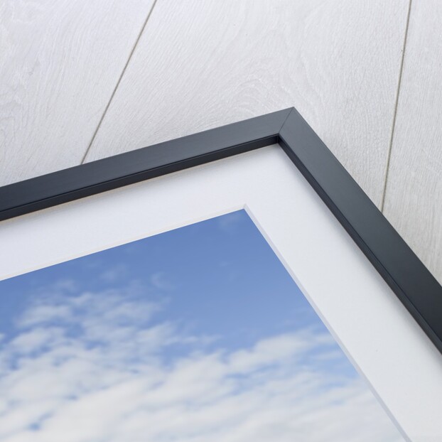 Canteria beach, near Orzola, Lanzarote, Spain by Anonymous
