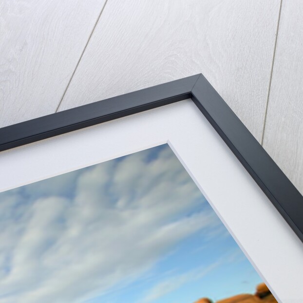 Pink granite coast, Ploumanach, France by Anonymous