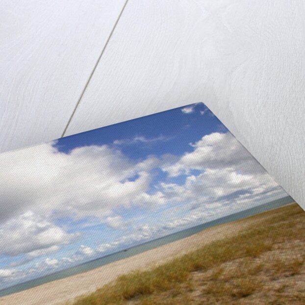 Les Grands Sables beach, Groix island, France by Anonymous
