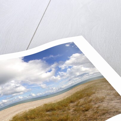 Les Grands Sables beach, Groix island, France by Anonymous