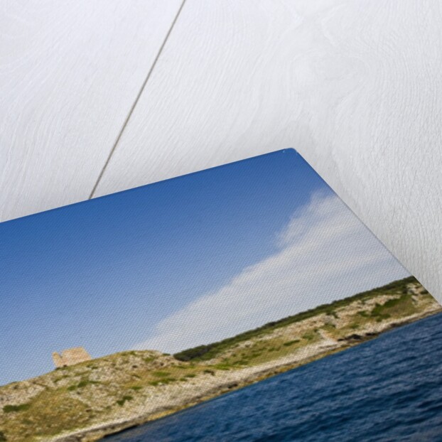 Sea coast, Parco Naturale di Porto Selvaggio, Torre dell'Alto, Nardo, Italy by Anonymous