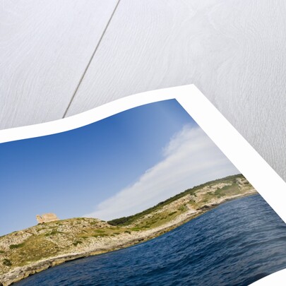 Sea coast, Parco Naturale di Porto Selvaggio, Torre dell'Alto, Nardo, Italy by Anonymous