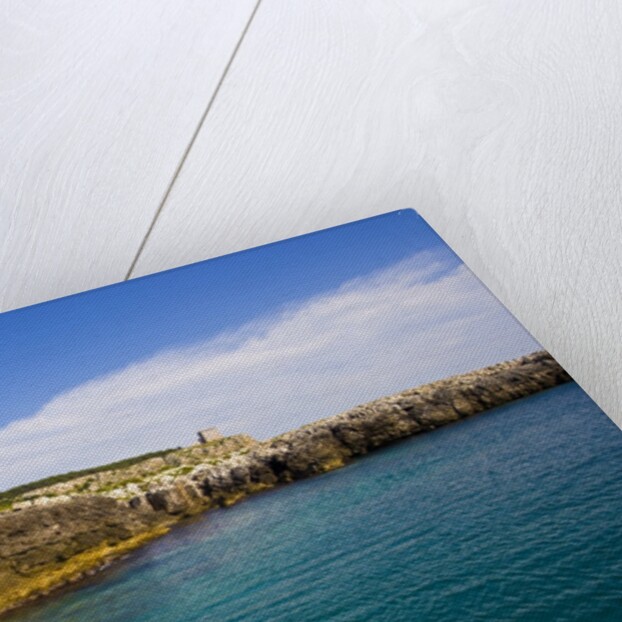 Sea coast, Parco Naturale di porto Selvaggio, Nardo, Italy by Anonymous
