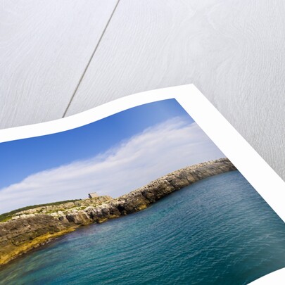 Sea coast, Parco Naturale di porto Selvaggio, Nardo, Italy by Anonymous