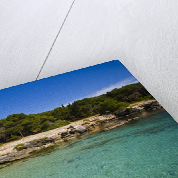 Sea coast, Parco Naturale di porto Selvaggio, Nardo, Italy by Anonymous