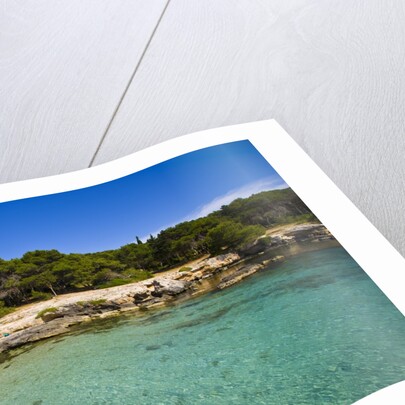 Sea coast, Parco Naturale di porto Selvaggio, Nardo, Italy by Anonymous
