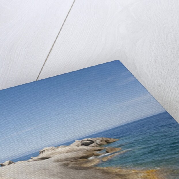 Sea coast, Capo Sant'Andrea, Italy by Anonymous