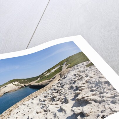 Sea coast at Punta Tangone, Sardinia, Italy by Anonymous