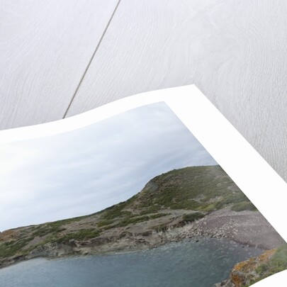 Sea coast, Porto Ferro, Alghero, Sardinia, Italy by Anonymous