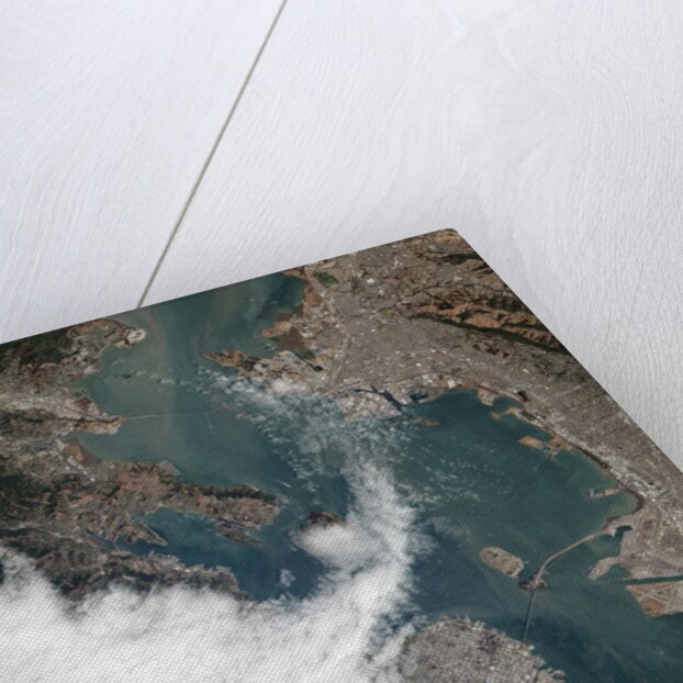 Satellite View of a Foggy Day in San Francisco by Anonymous