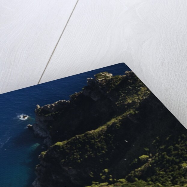 View of coast from Monte Solaro, Anacapri, Capri Island, Campania, Italy by Anonymous