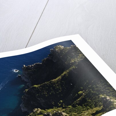 View of coast from Monte Solaro, Anacapri, Capri Island, Campania, Italy by Anonymous